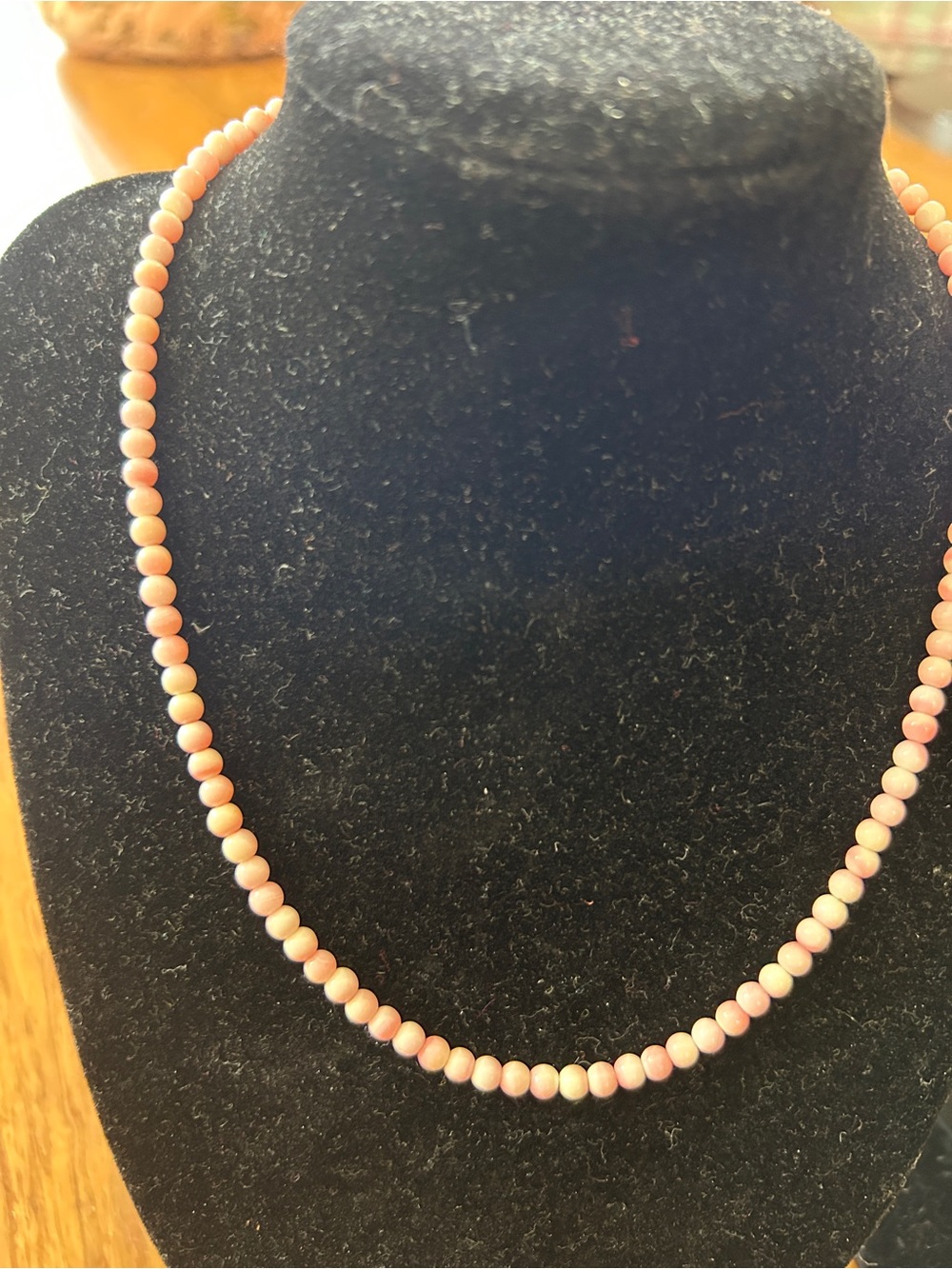 Pink Conch necklace. 16” sterling silver clasp.